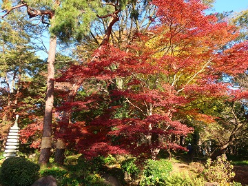 日本庭園北側