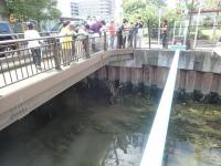 FSCサルベージ協会写真