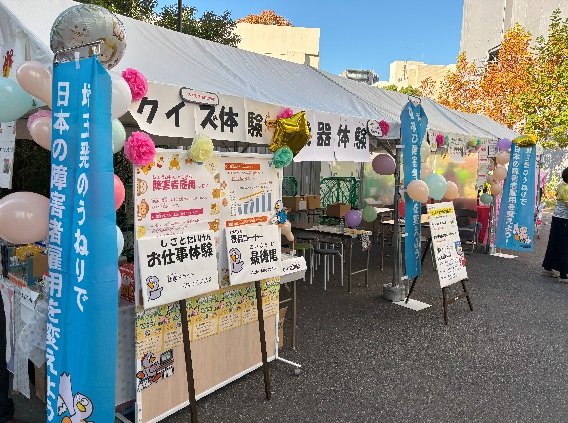 全体写真 