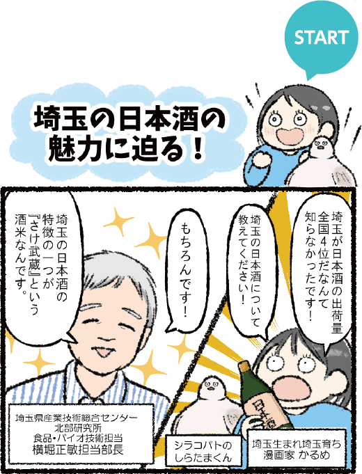 START 漫画「埼玉の日本酒の魅力に迫る！」1コマ目：埼玉生まれ埼玉育ちの漫画家かるめ「埼玉が日本酒の出荷量全国4位だなんて知らなかったです！埼玉の日本酒についてもっと教えてください！」 シラコバトのしらたまくんも寄り添っている。 埼玉県産業技術総合センター北部研究所食品・バイオ技術担当横堀正敏担当部長「もちろんです！埼玉の日本酒の特徴の一つが『さけ武蔵』という酒米なんです。」