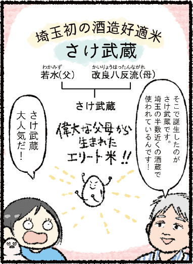 漫画「埼玉の日本酒の魅力に迫る！」3コマ目：横堀担当部長「そこで誕生したのがさけ武蔵です。埼玉の半数近くの酒蔵で使われているんです！」埼玉初の酒蔵好適米のさけ武蔵は酒米の「若水」を父、酒米の「改良八反流」を母として誕生した。偉大な父母から生まれたエリート米。 かるめ「さけ武蔵大人気だ！」