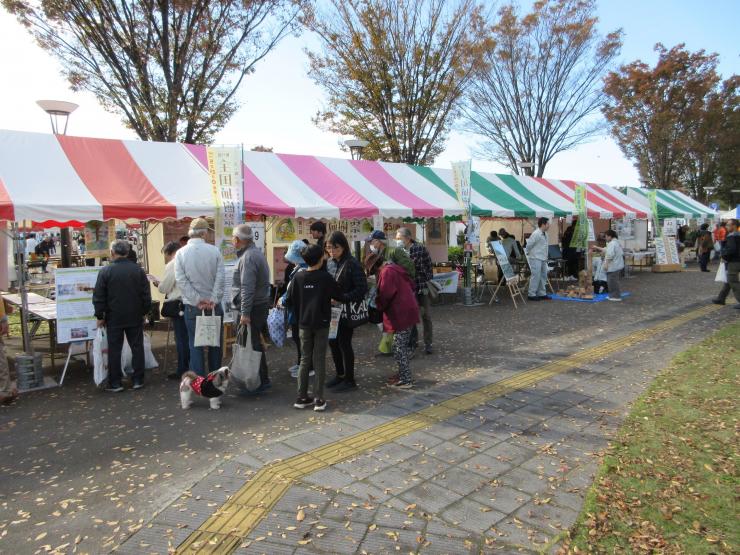 ドリフェス5