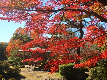 東屋2