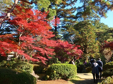 日本庭園内園路