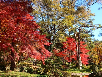 池の北側