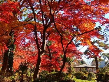 東屋北側