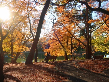 向山の情景