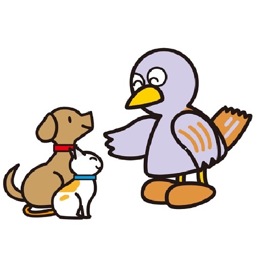 画像：コバトンと犬と猫