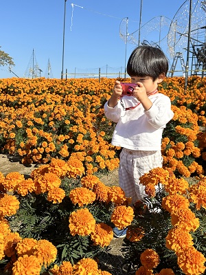 写真：モバイル部門ベストショット賞1