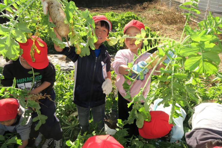 収穫を喜ぶ様子