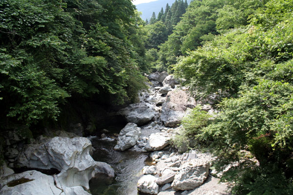 不動の滝のつり橋から見える荒川の写真