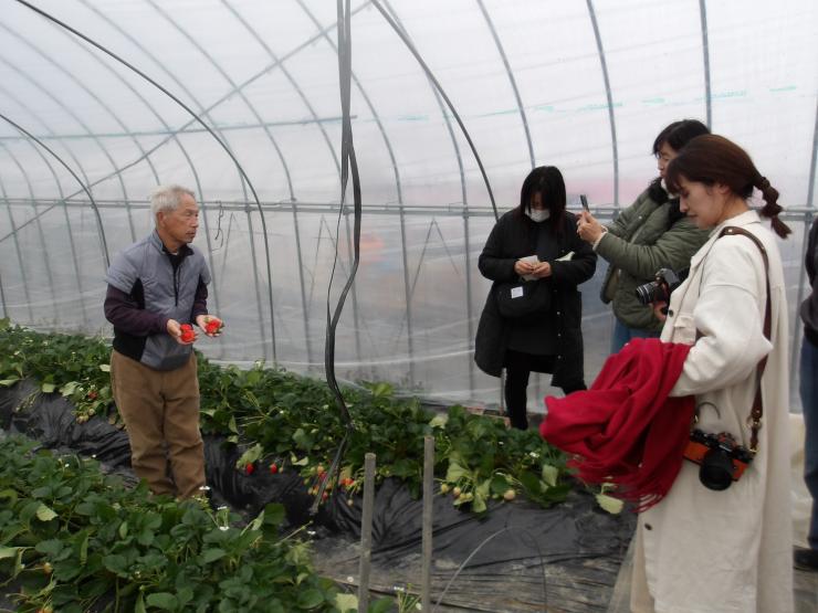 横田農園の横田取締役からあまりん、かおりん、べにたま県オリジナル3品種の栽培の難しさや味や香りの違いの説明を受けるわっしょい大使