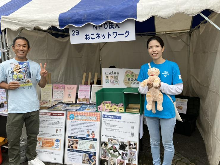 ねこネットワークの写真