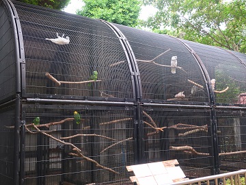 リニューアルしたインコ舎