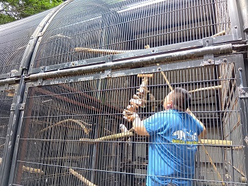 おもちゃの取付作業