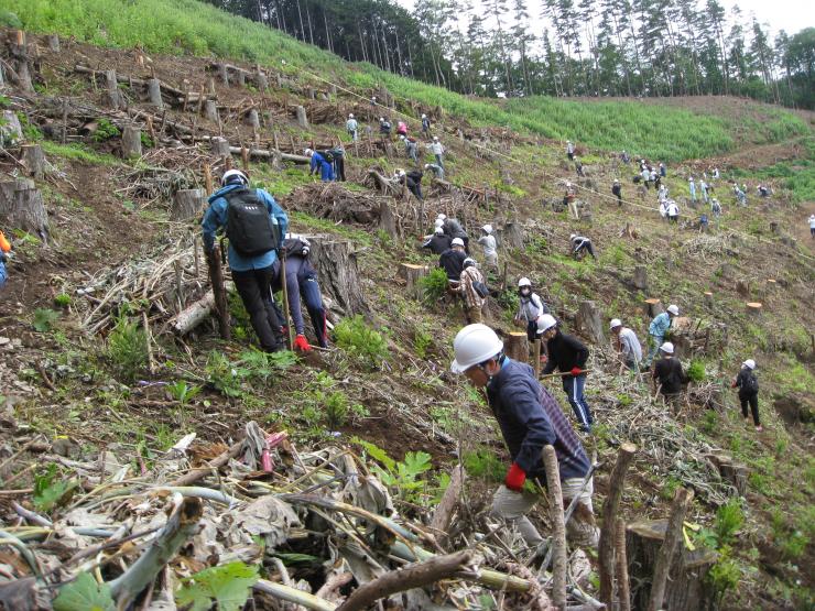 沖電気工業株式会社2
