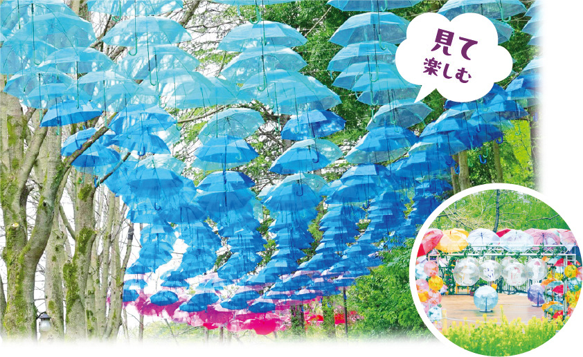 見て楽しむ。アンブレラ回廊の写真