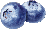 ブルーベリーのイラスト