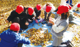 落ち葉についた幼虫を探す子供たちの写真