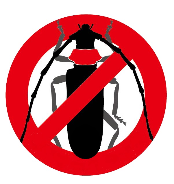 クビアカツヤカミキリにバツ印がある