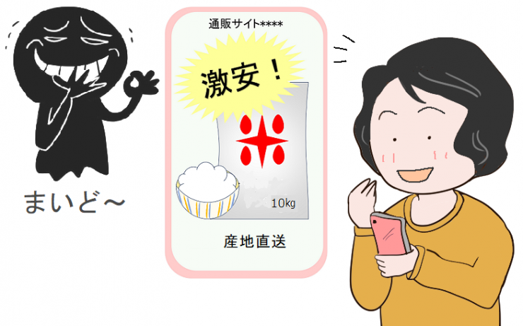 詐欺的な通販サイトに気付かず格安のお米が買えると思って注文する女性のイラスト