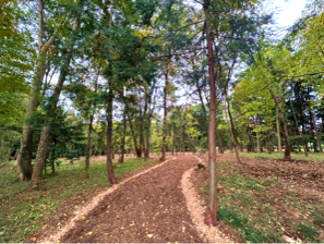 整備された散策路