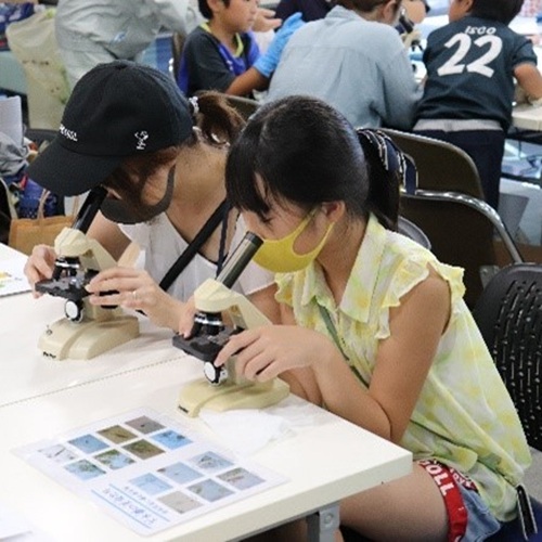 微生物観察の様子