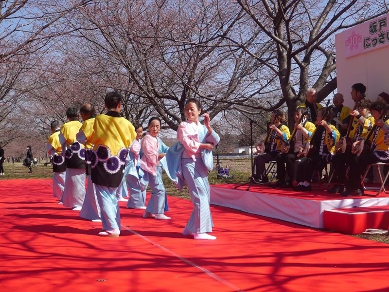 画像：坂戸にっさい桜まつり