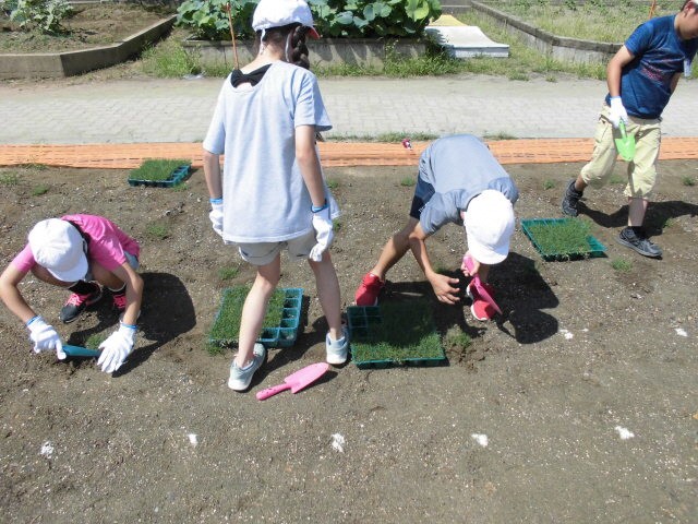 本所市立北泉小学校1