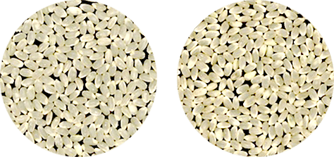 高温による被害を受けた玄米