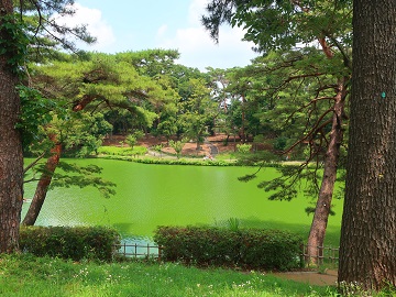 ベンチからの眺望