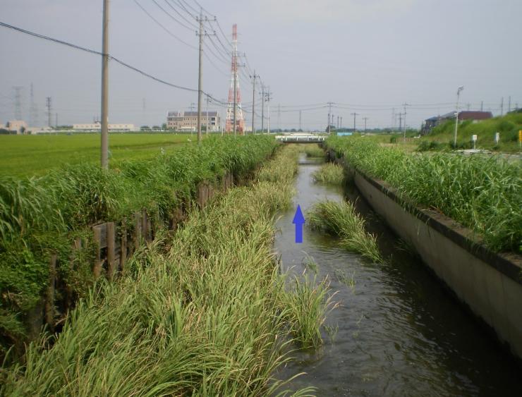 飯盛川整備前