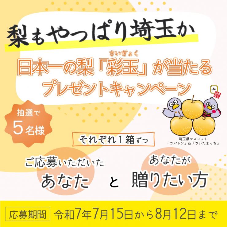 プレゼントキャンペーン