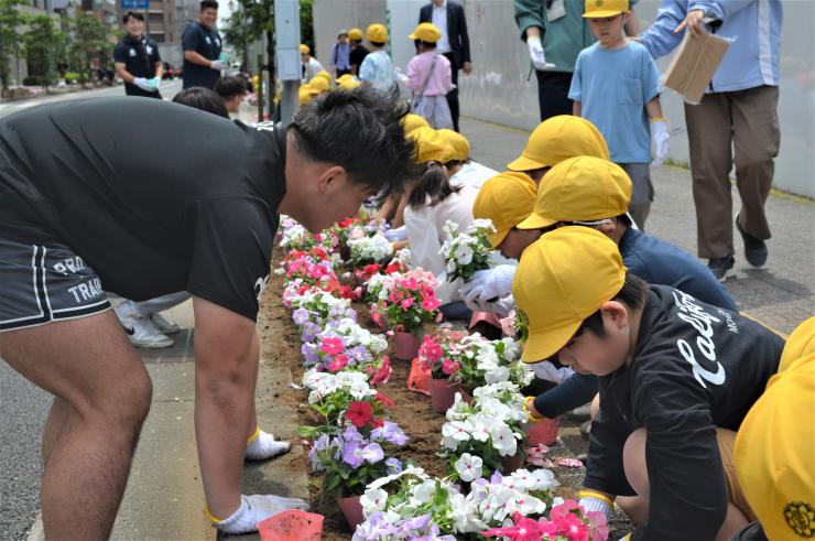今年度いただいた花苗の様子2