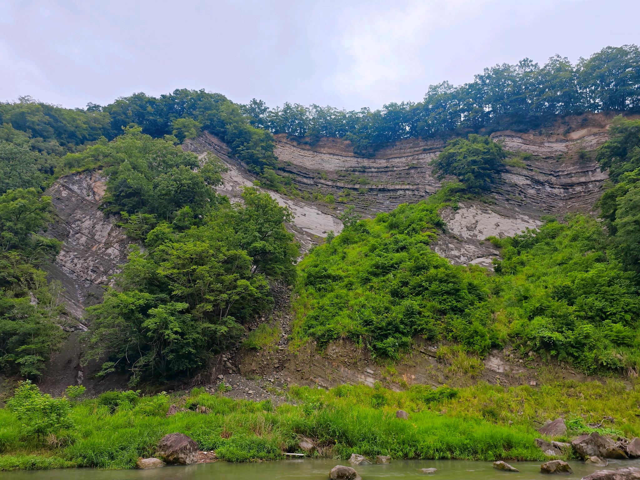 ようばけの断面の写真