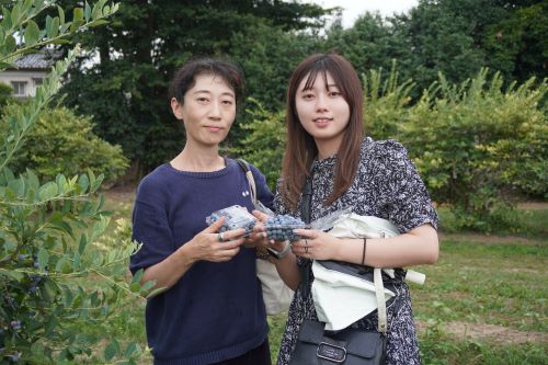 ブルーベリー狩り4