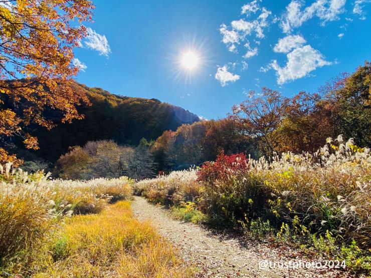 トラスト最優秀インスタ