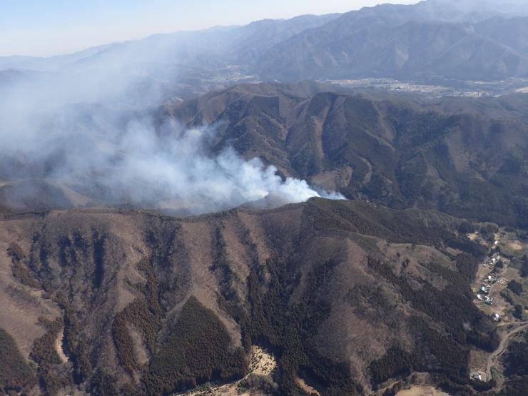 林野火災の写真その1