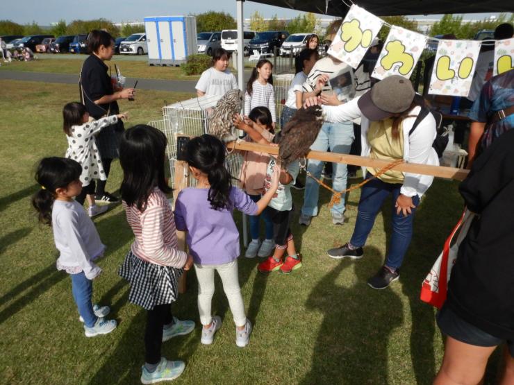 ふれあい動物園