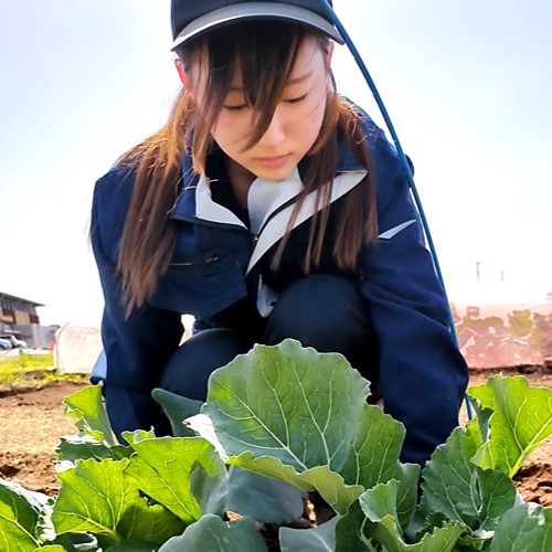 学生募集ポスター