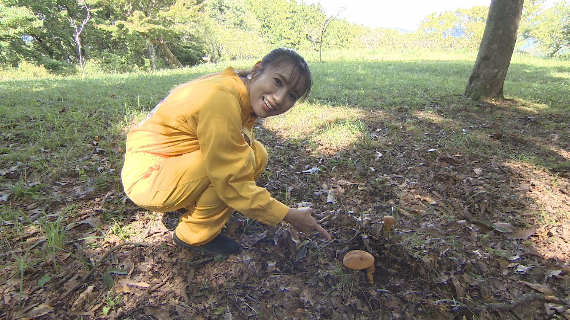 才木玲佳とがきのこを見つけた様子