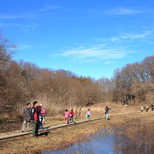 公園内を散策している様子の写真