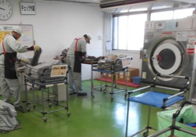 仕事をしている様子