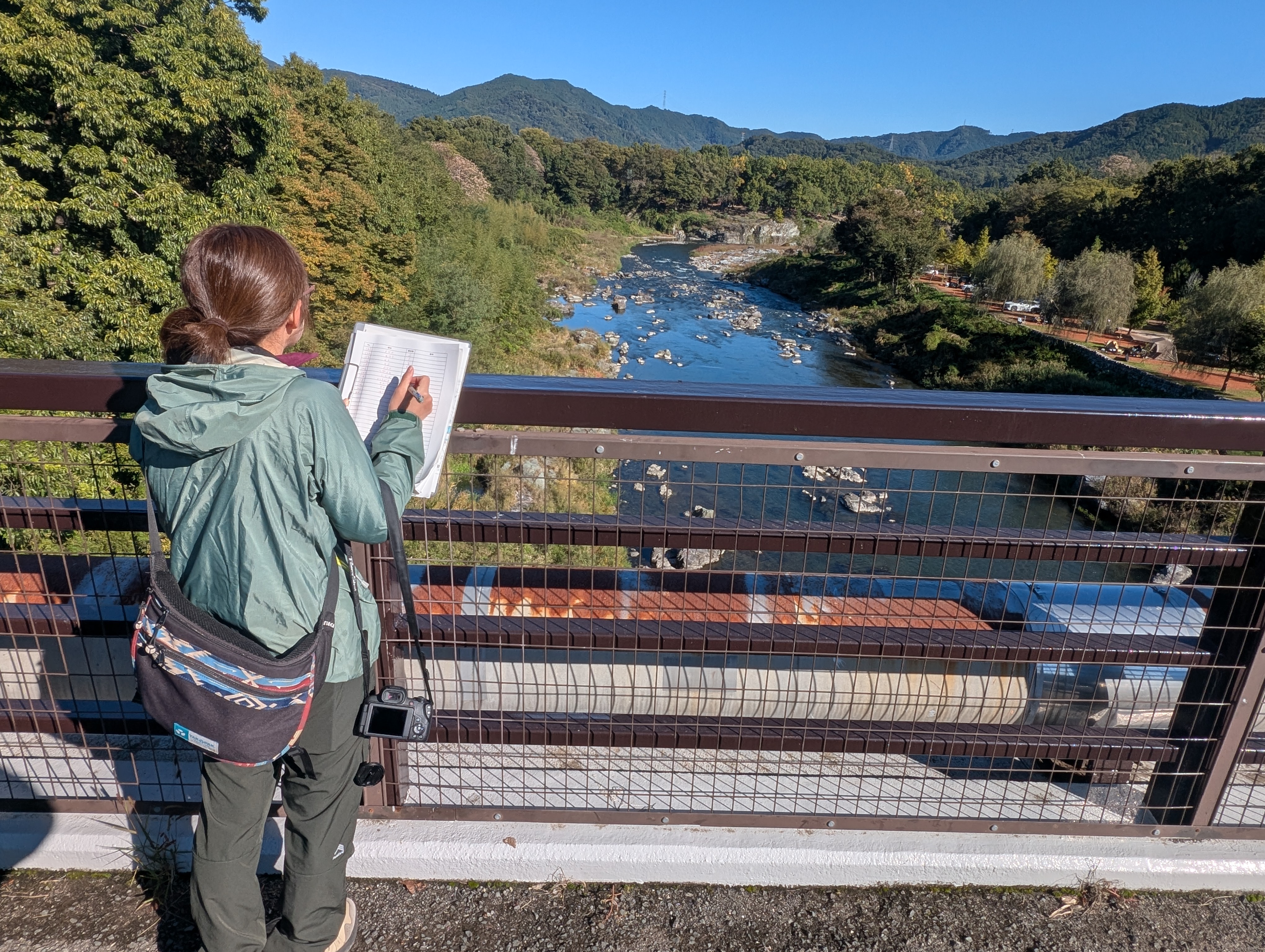 長瀞でバードウォッチングをする自然の博物館の学芸員