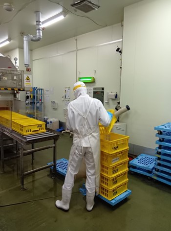 仕事をしている様子