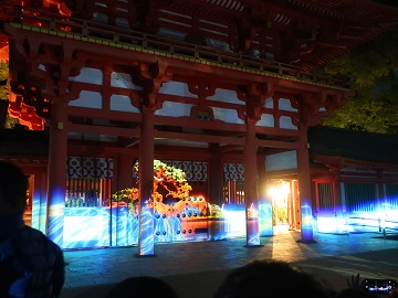 大宮盆栽