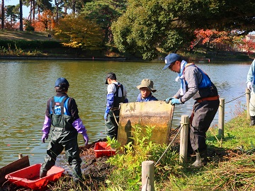 浅場の補修作業2
