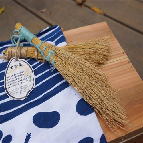 みごぼうきの写真