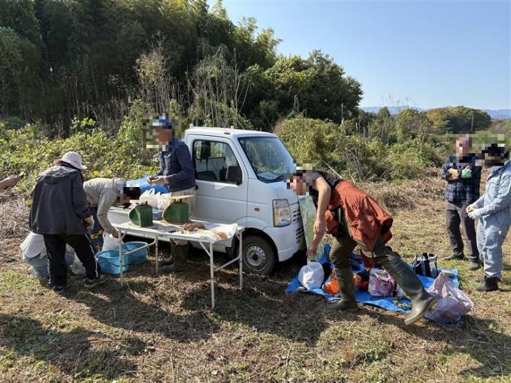芋ほりイベントの様子4