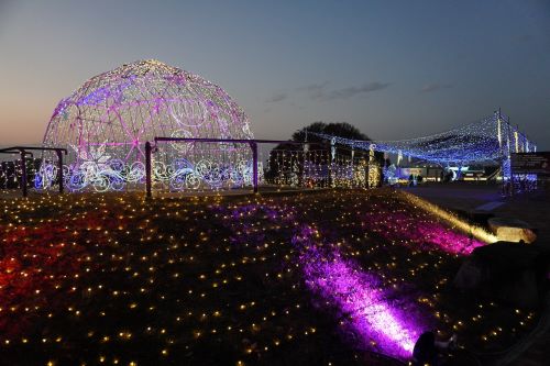 イルミネーション1